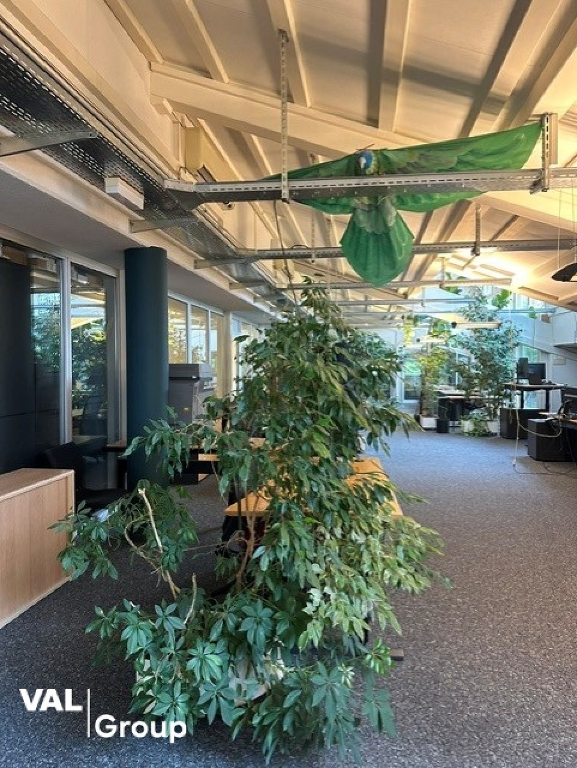 Office, photo 5 sur 8