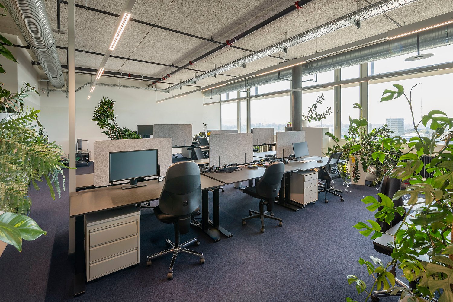 1058m² office