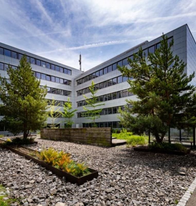 1300m² office