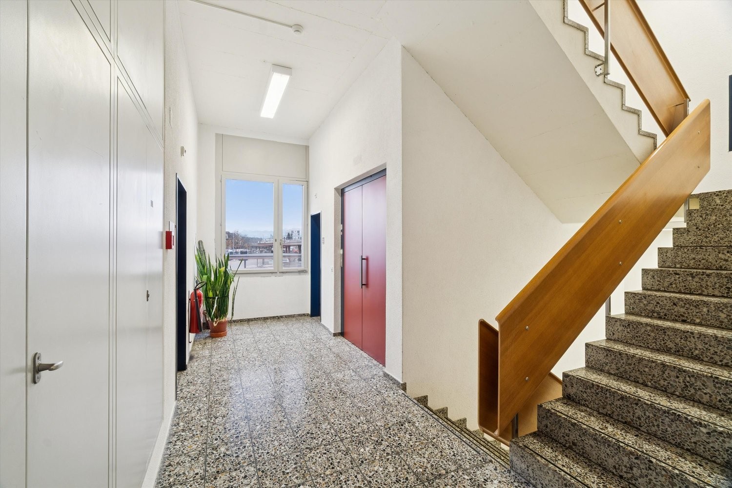 319m² commerciale