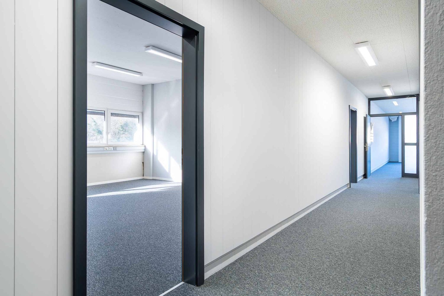 219m² Büro