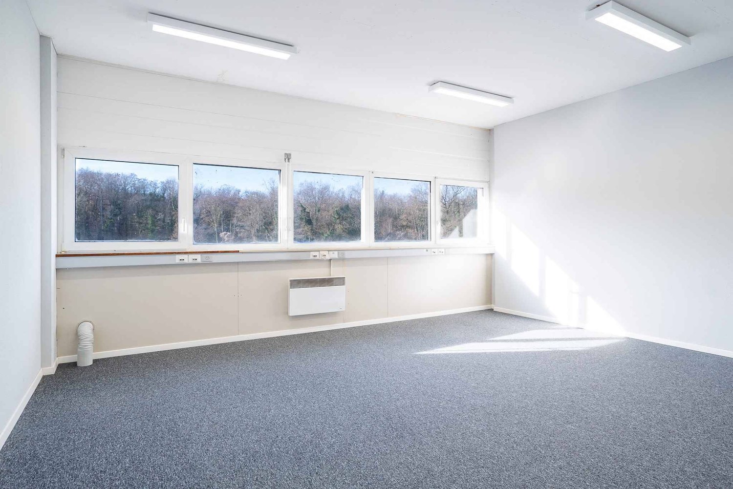 219m² Büro