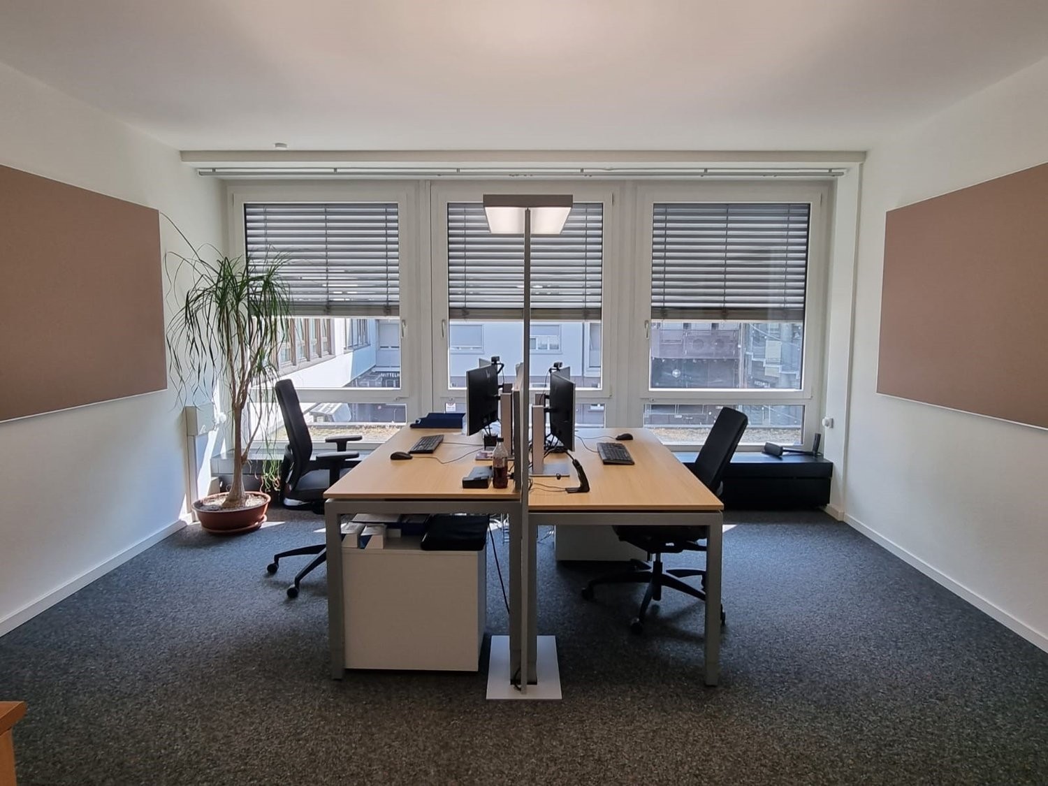 160m² office, Foto 5 von 9