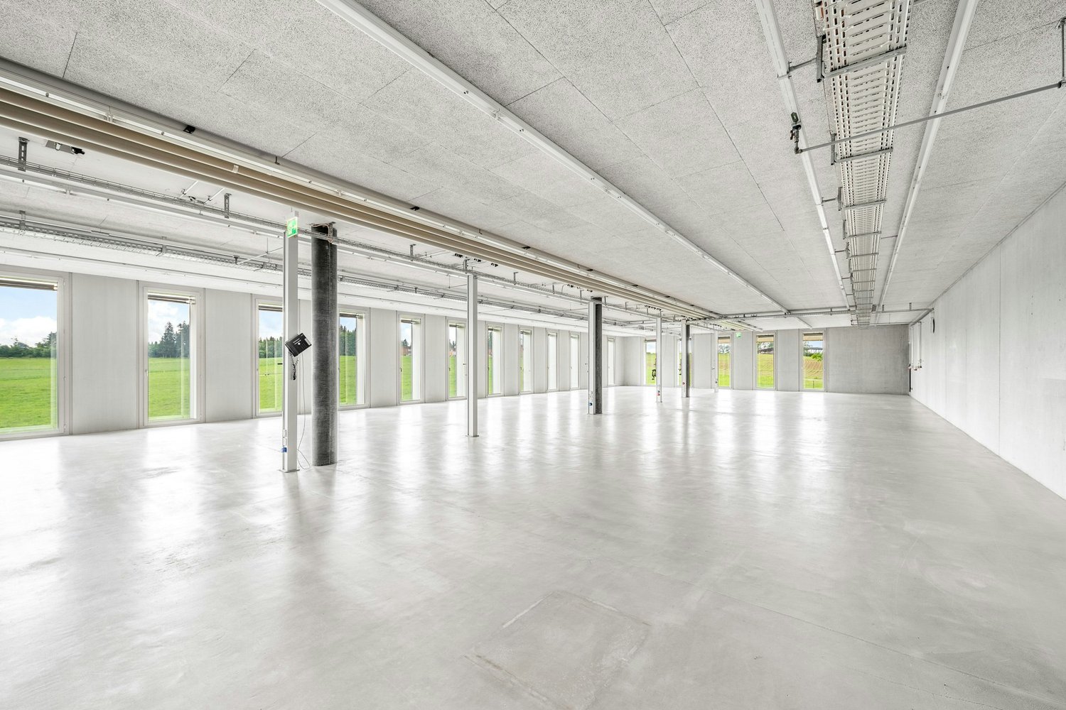 4945m² commerciale, foto 10 di 10
