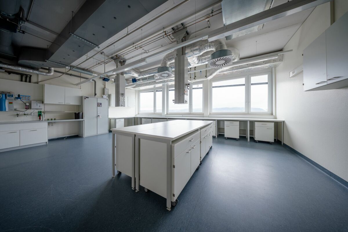 900m² office, Foto 6 von 10