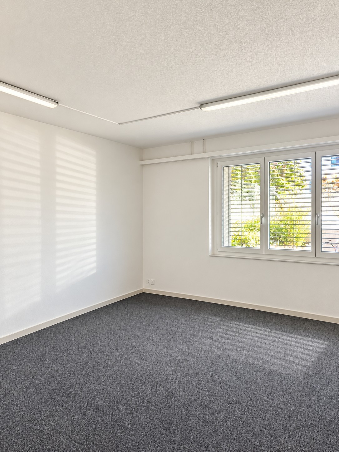 255m² office, Foto 10 von 10