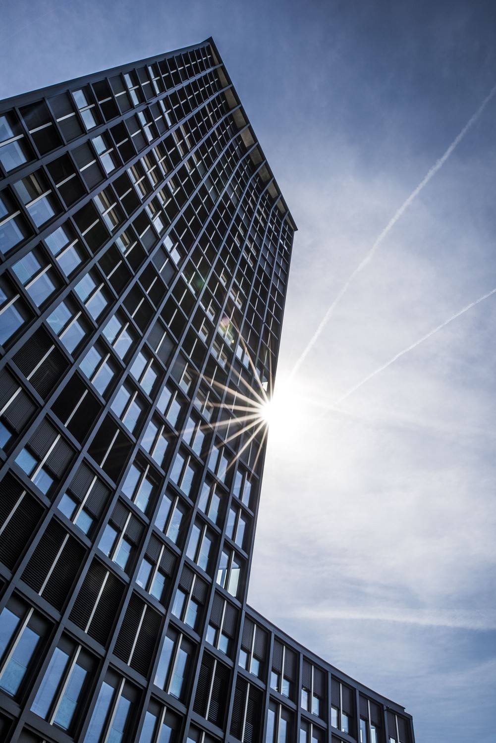 256m² office