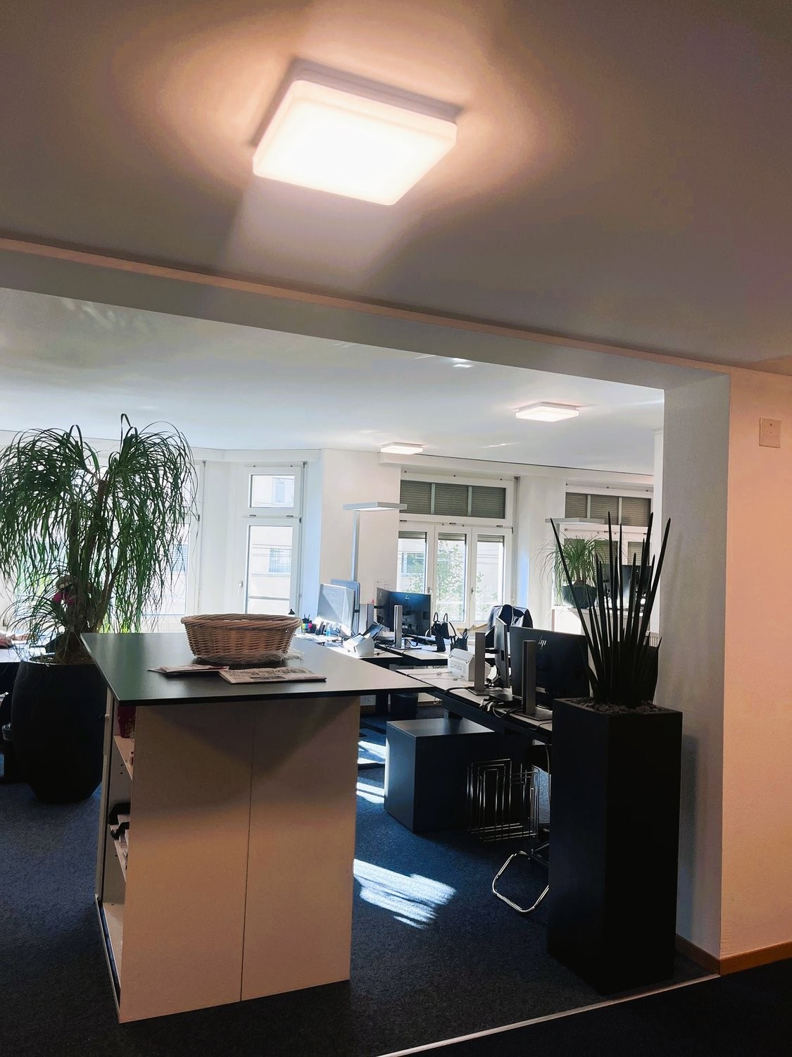 236m² office