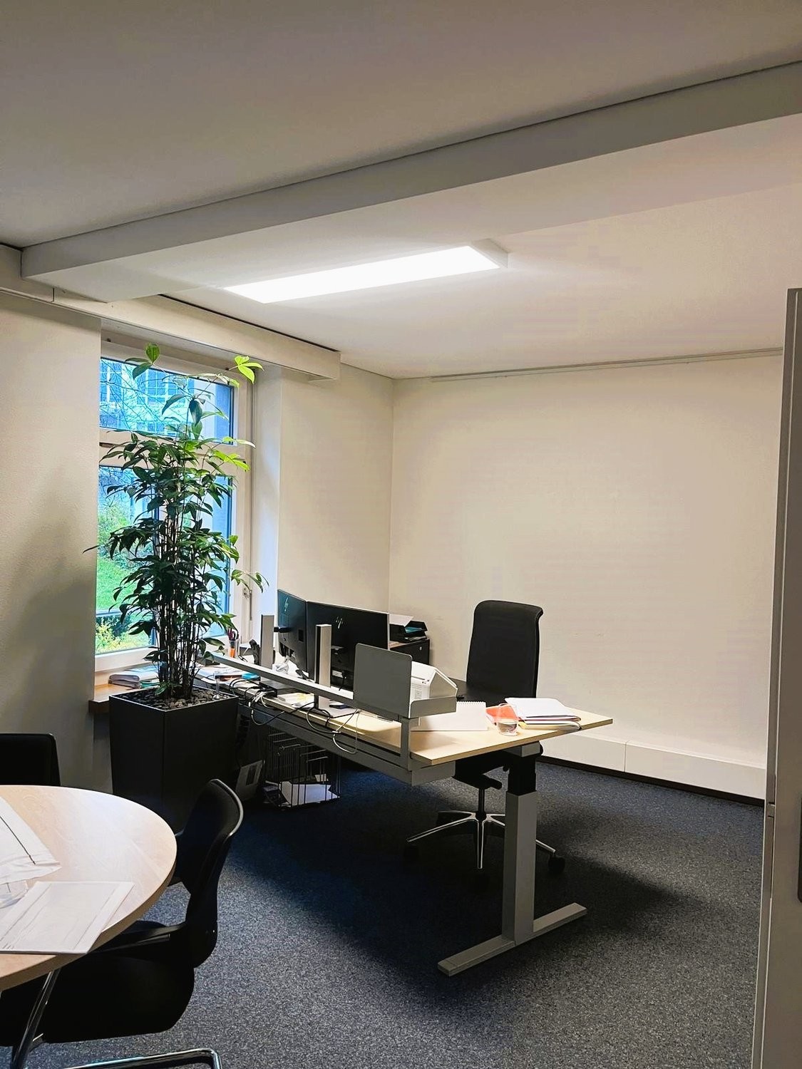 236m² office