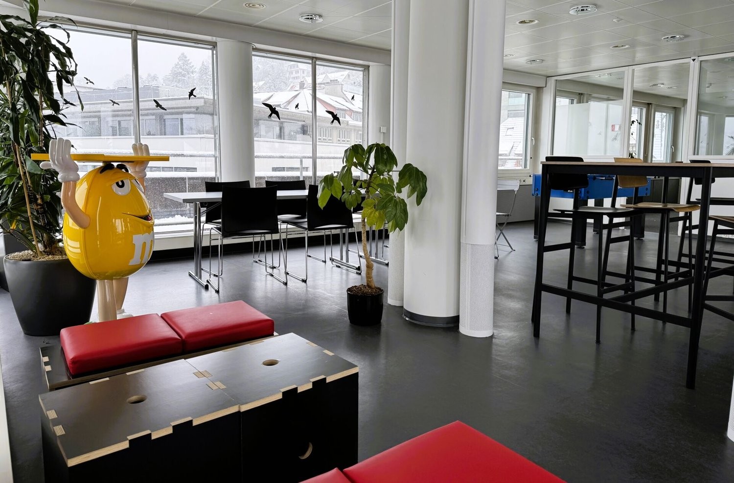 167m² office
