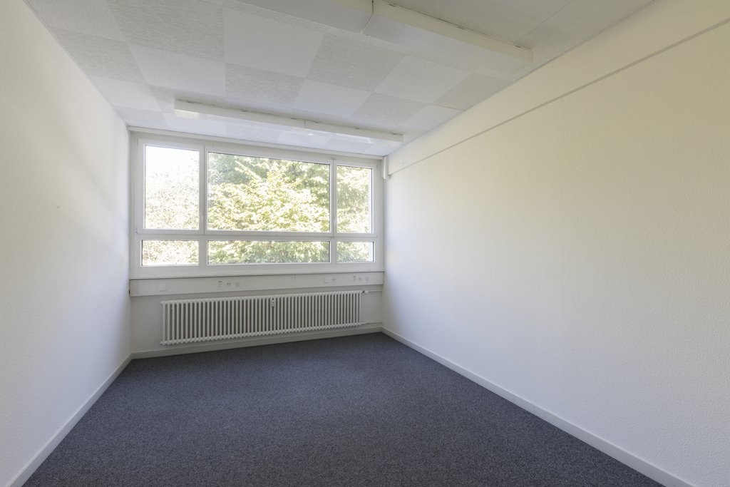 340m² office, Foto 3 von 10