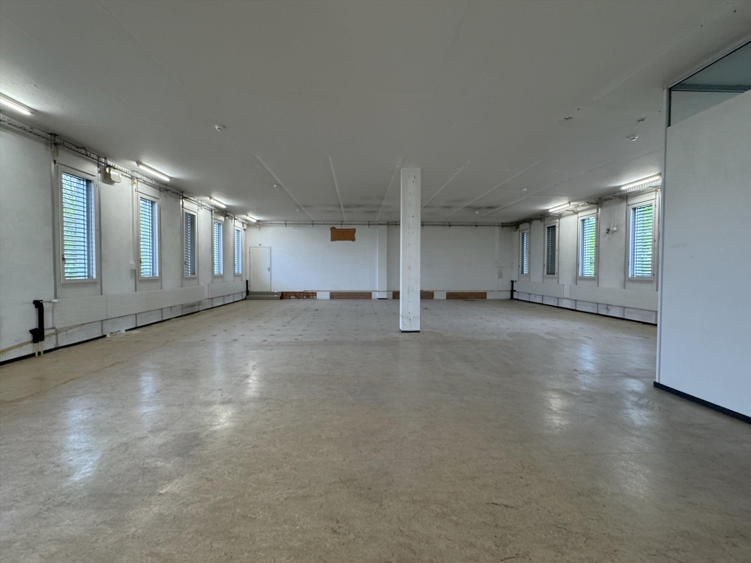 305m² commercial