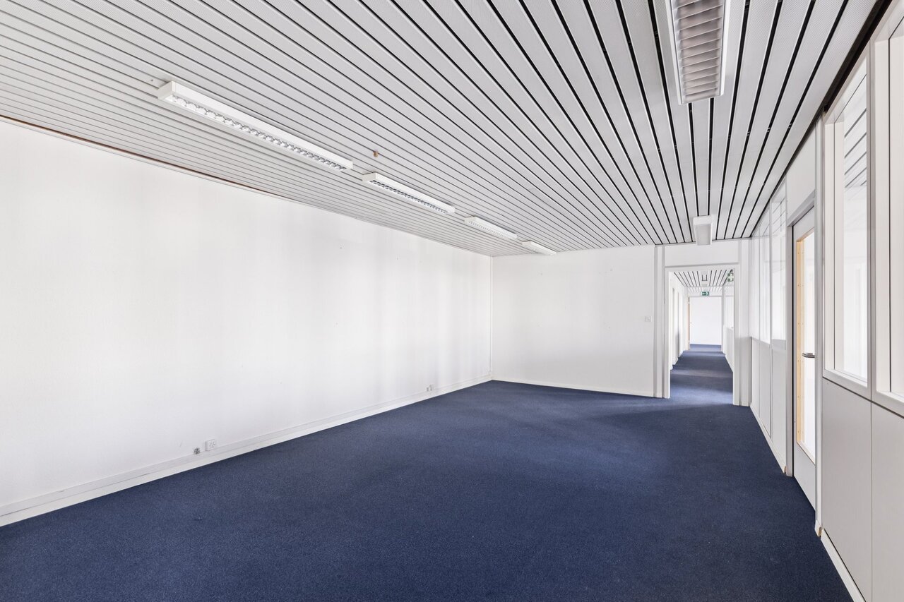 790m² commercial