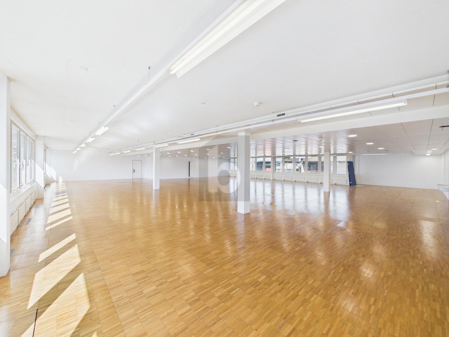 401m² office