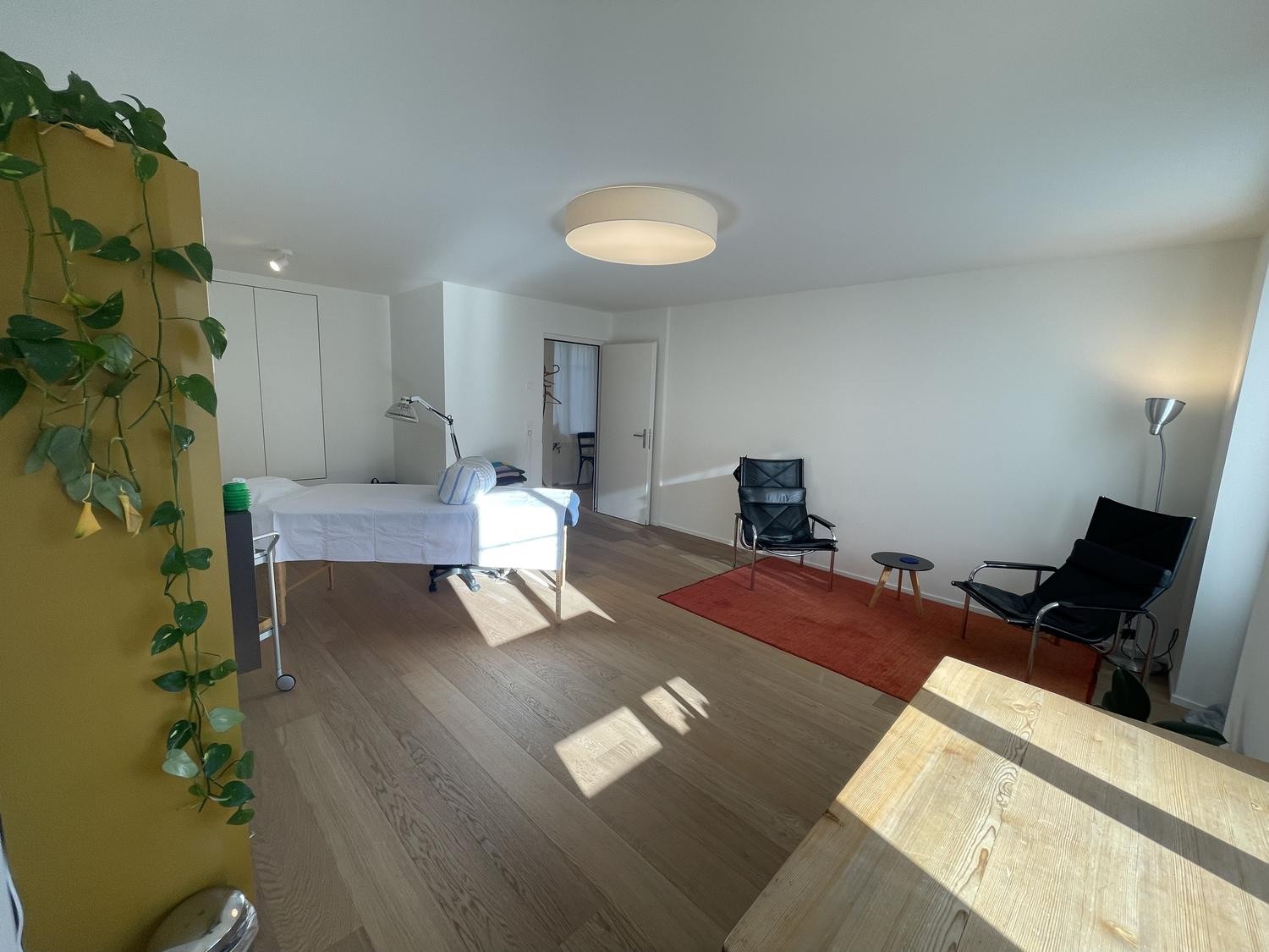 25m² commercial