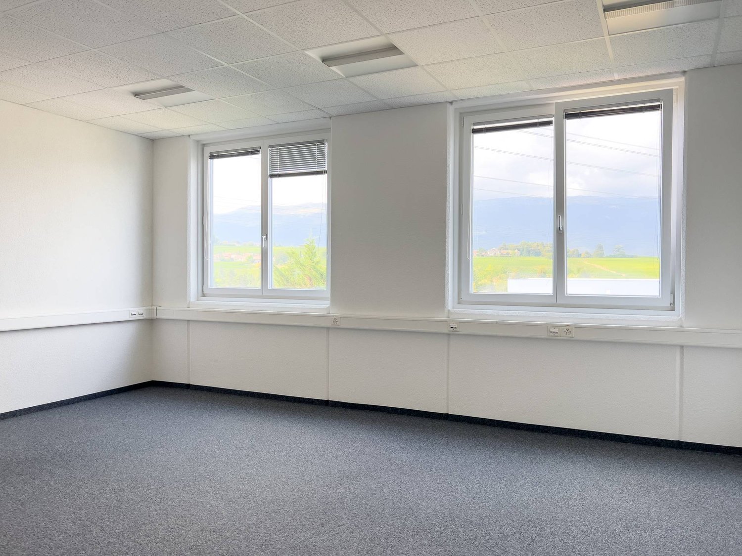 373m² Büro, Foto 2 von 6