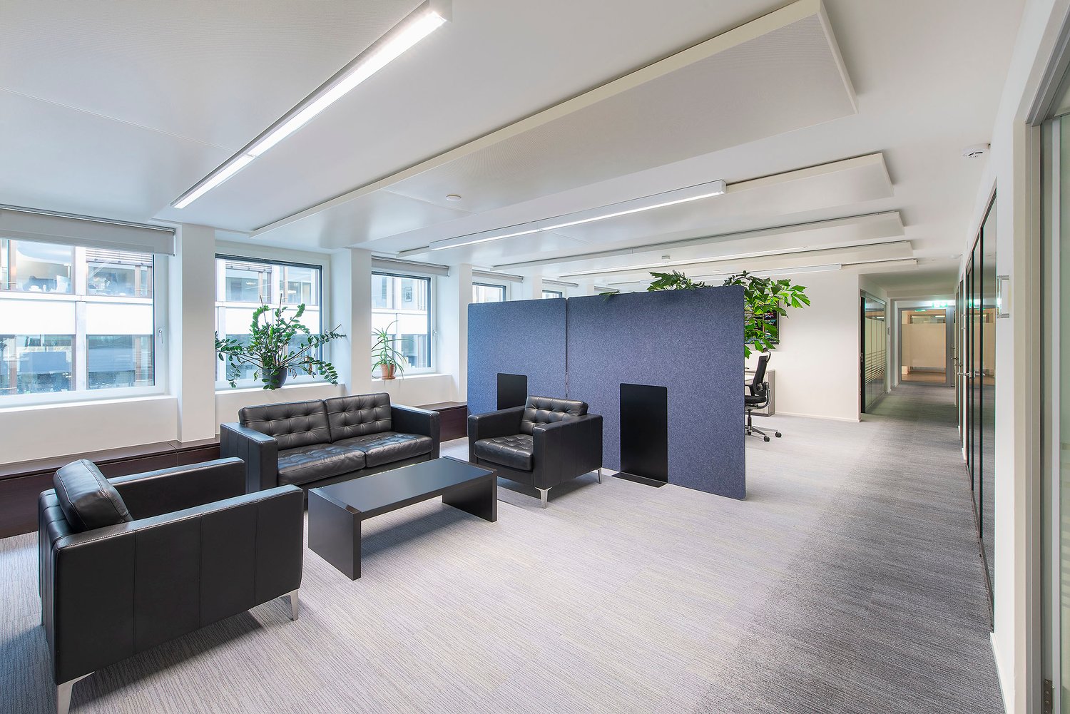 710m² office, Foto 6 von 10