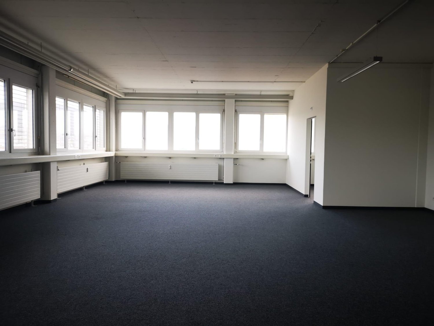 223m² office