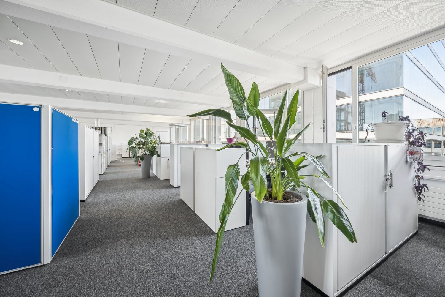 405m² office, Foto 7 von 10