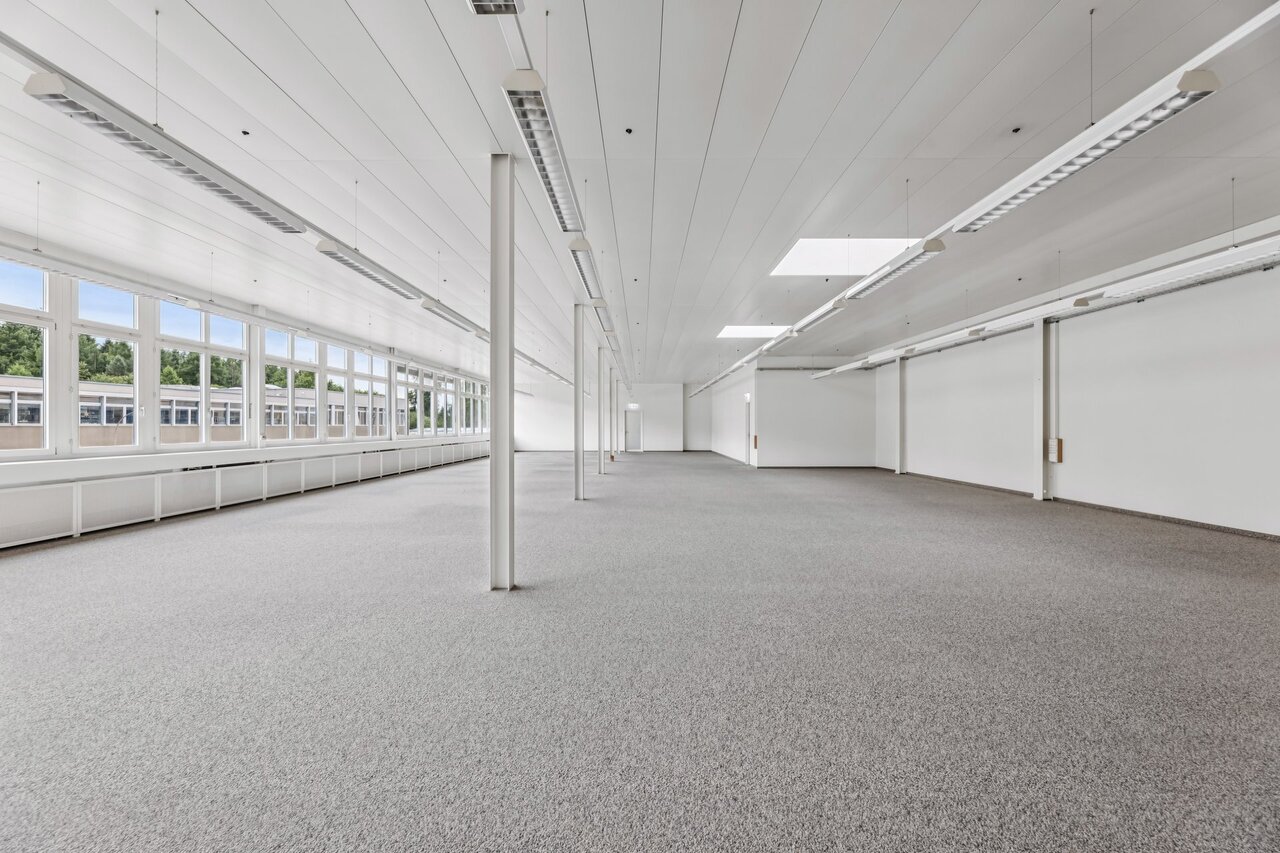 331m² commercial