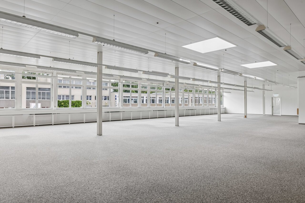 331m² commercial