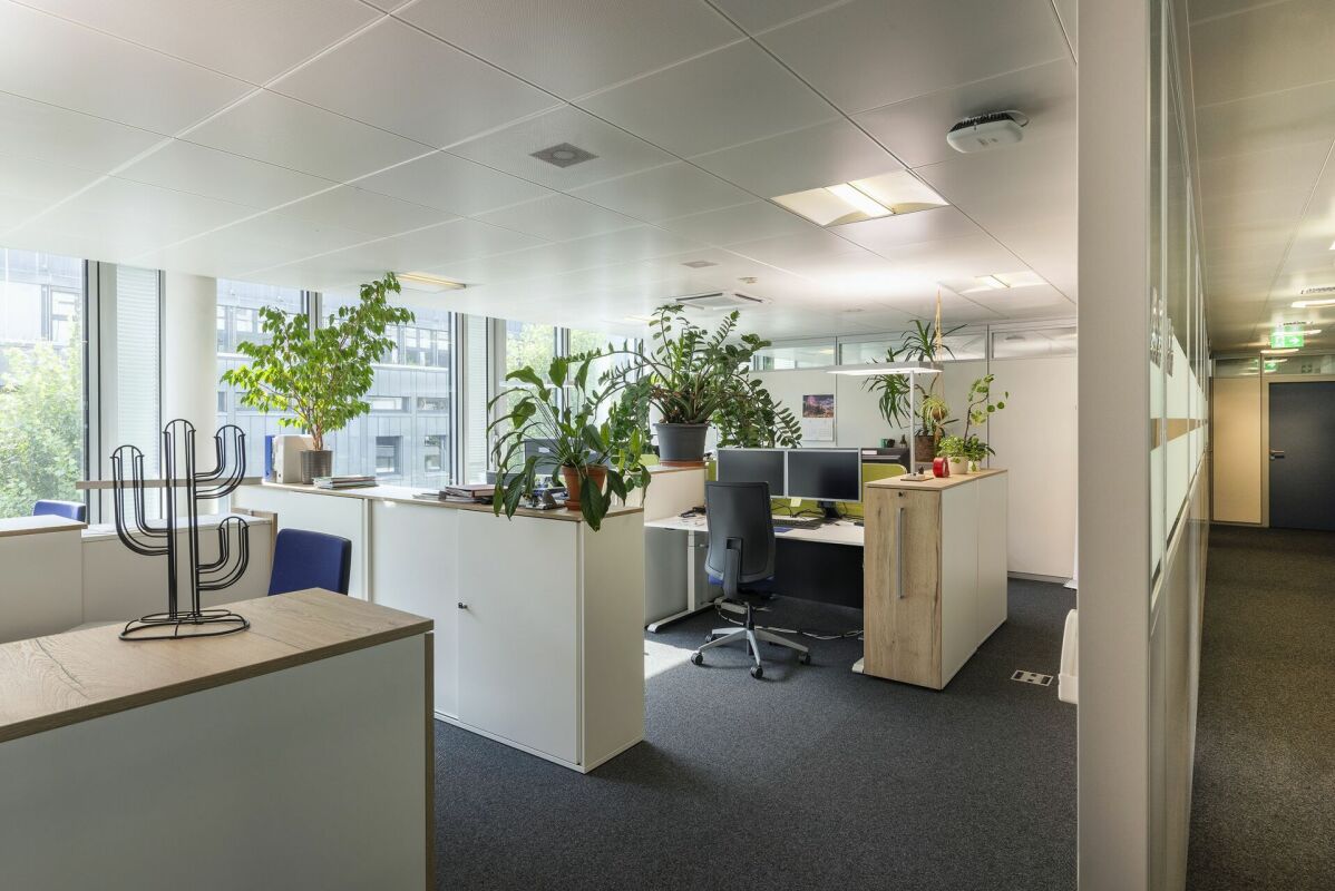 565m² office