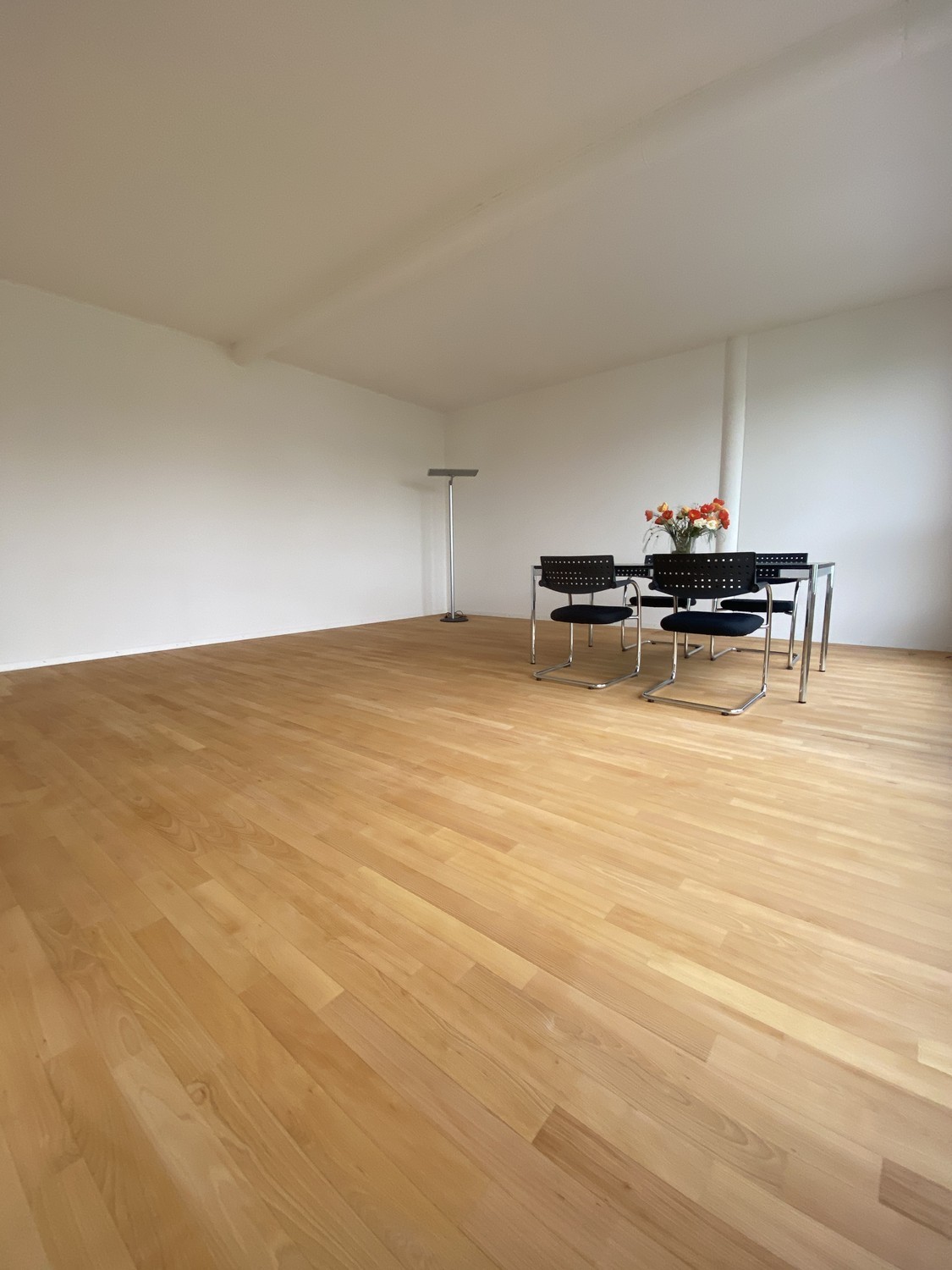 36m² office