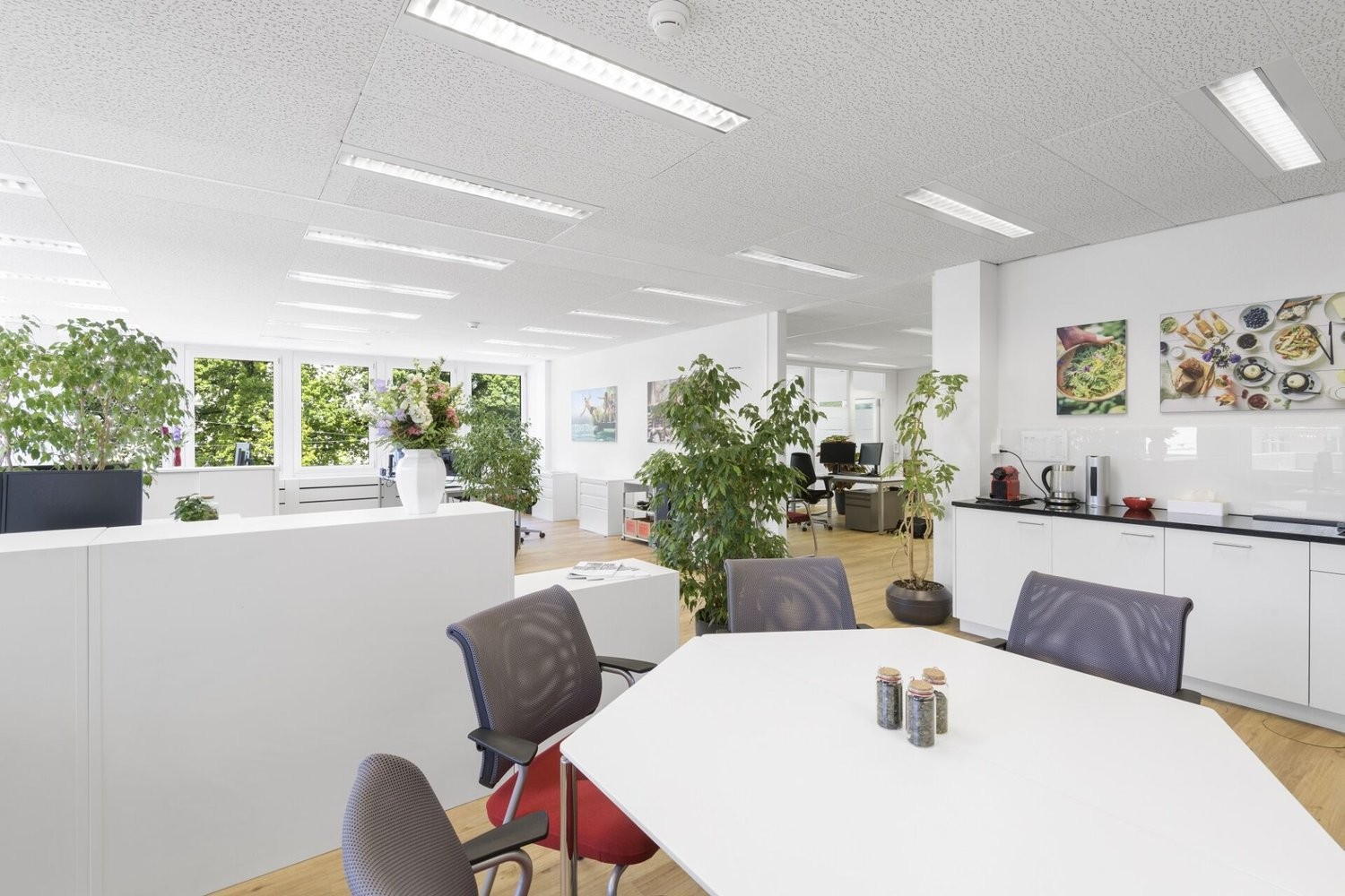 1149m² office