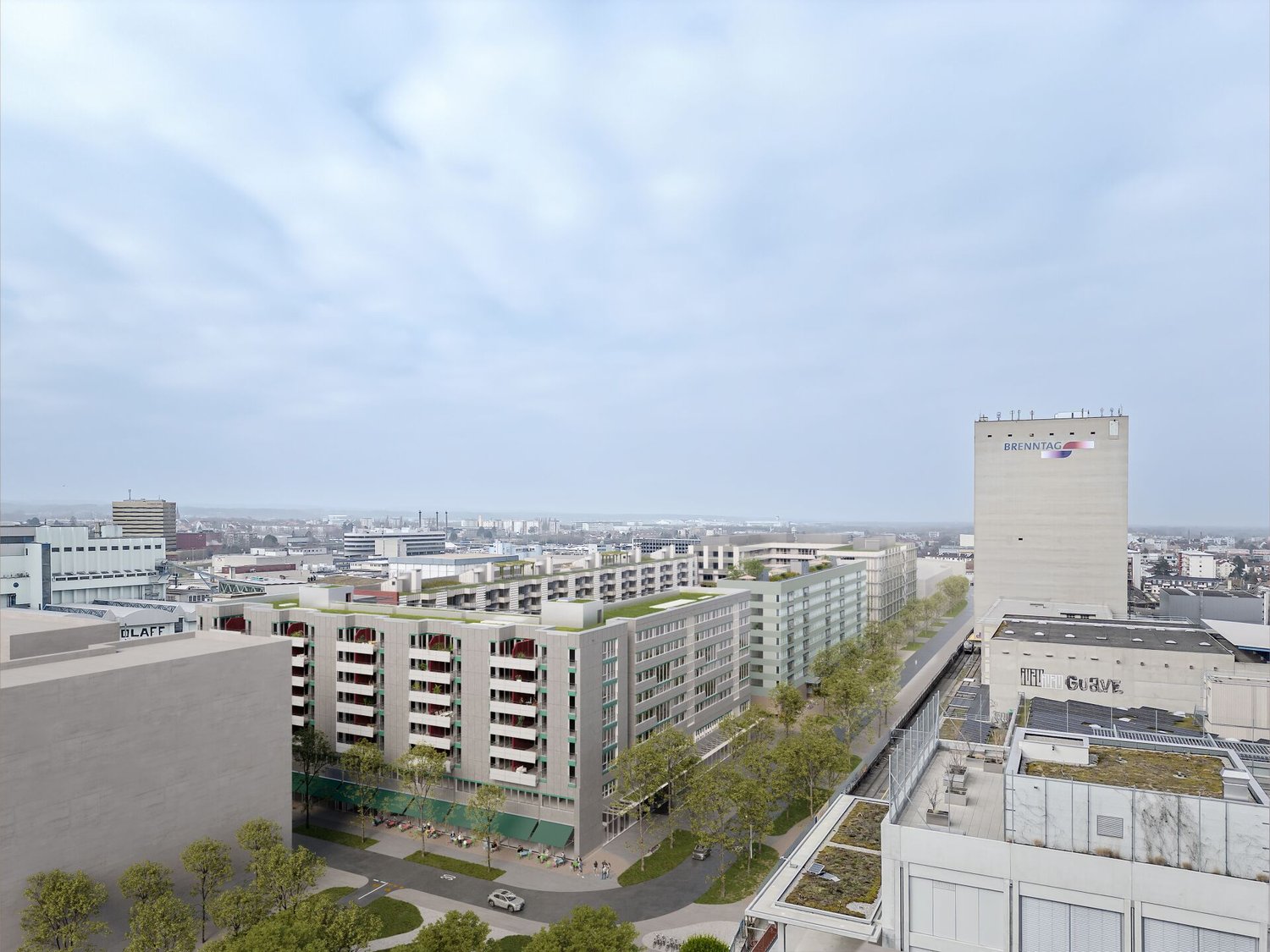 313m² practice