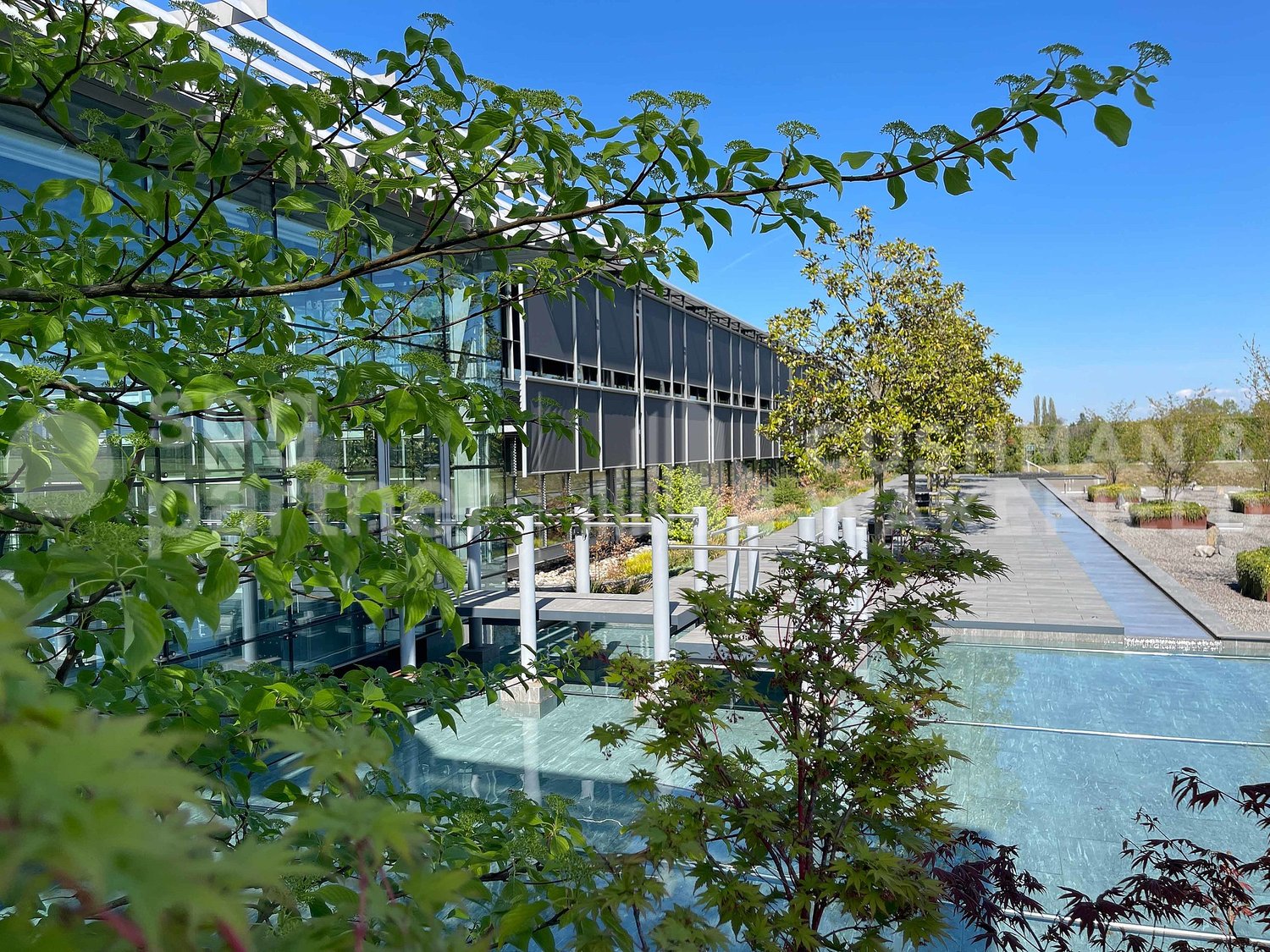 600m² Büro