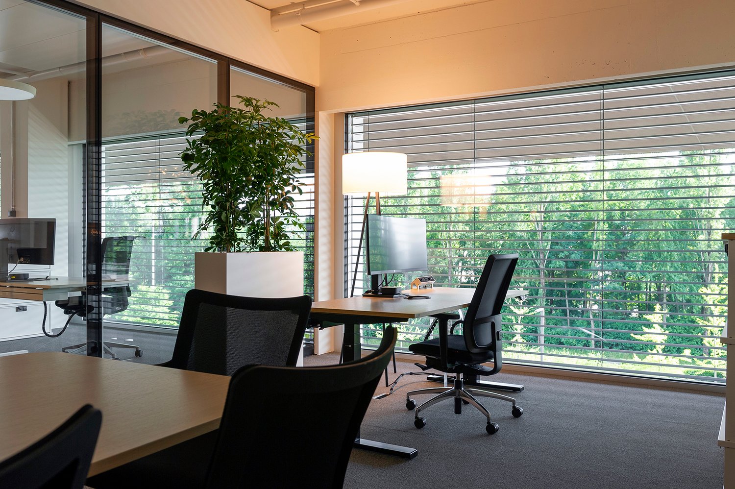 2160m² office, Foto 2 von 8