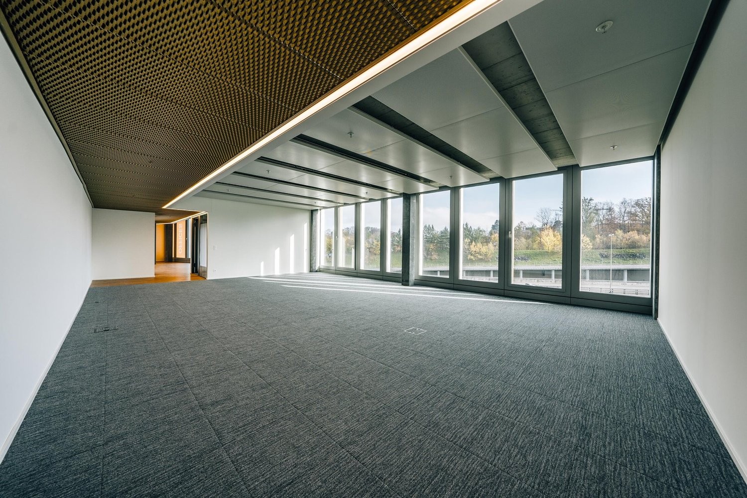 245m² office