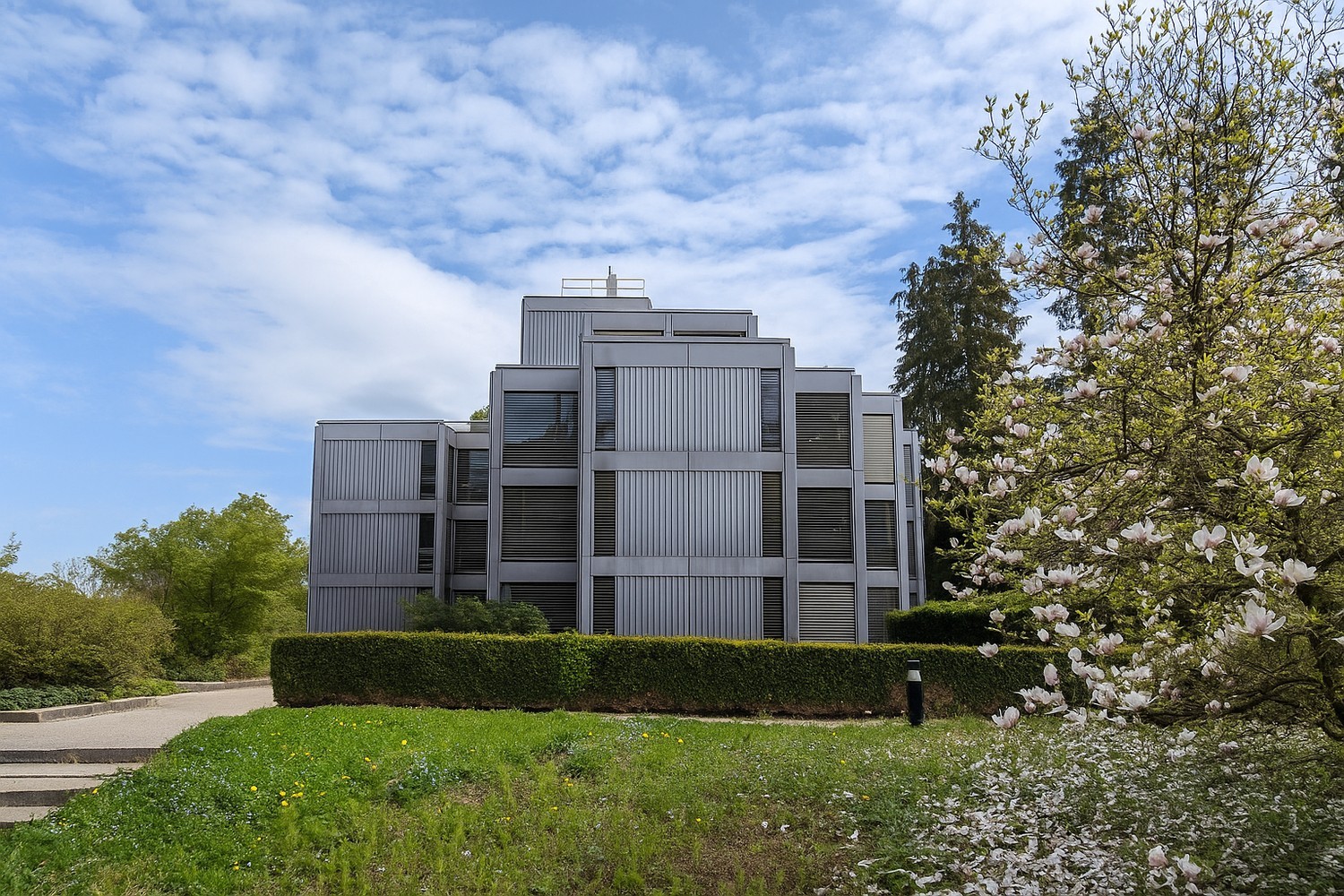 1807m² office