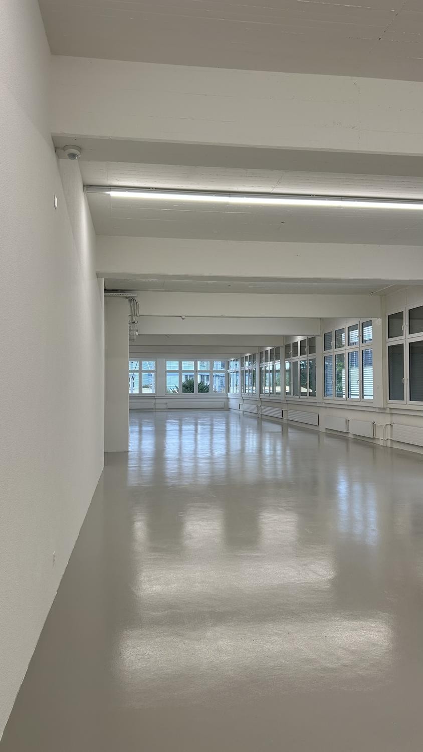 350m² commercial, photo 5 sur 10