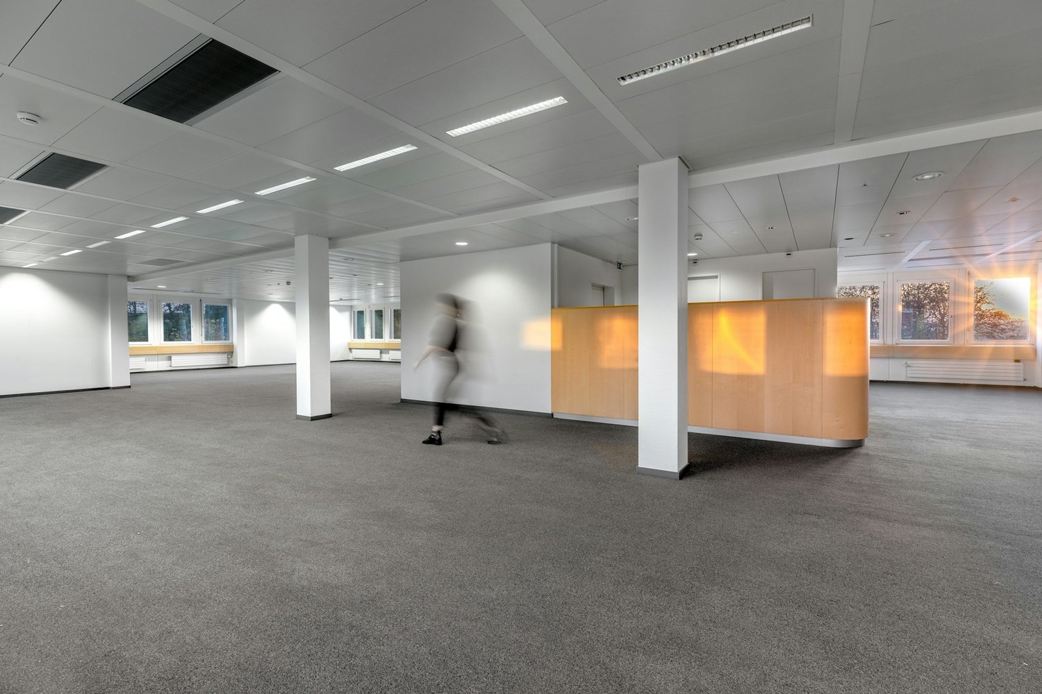 610m² office, Foto 5 von 10