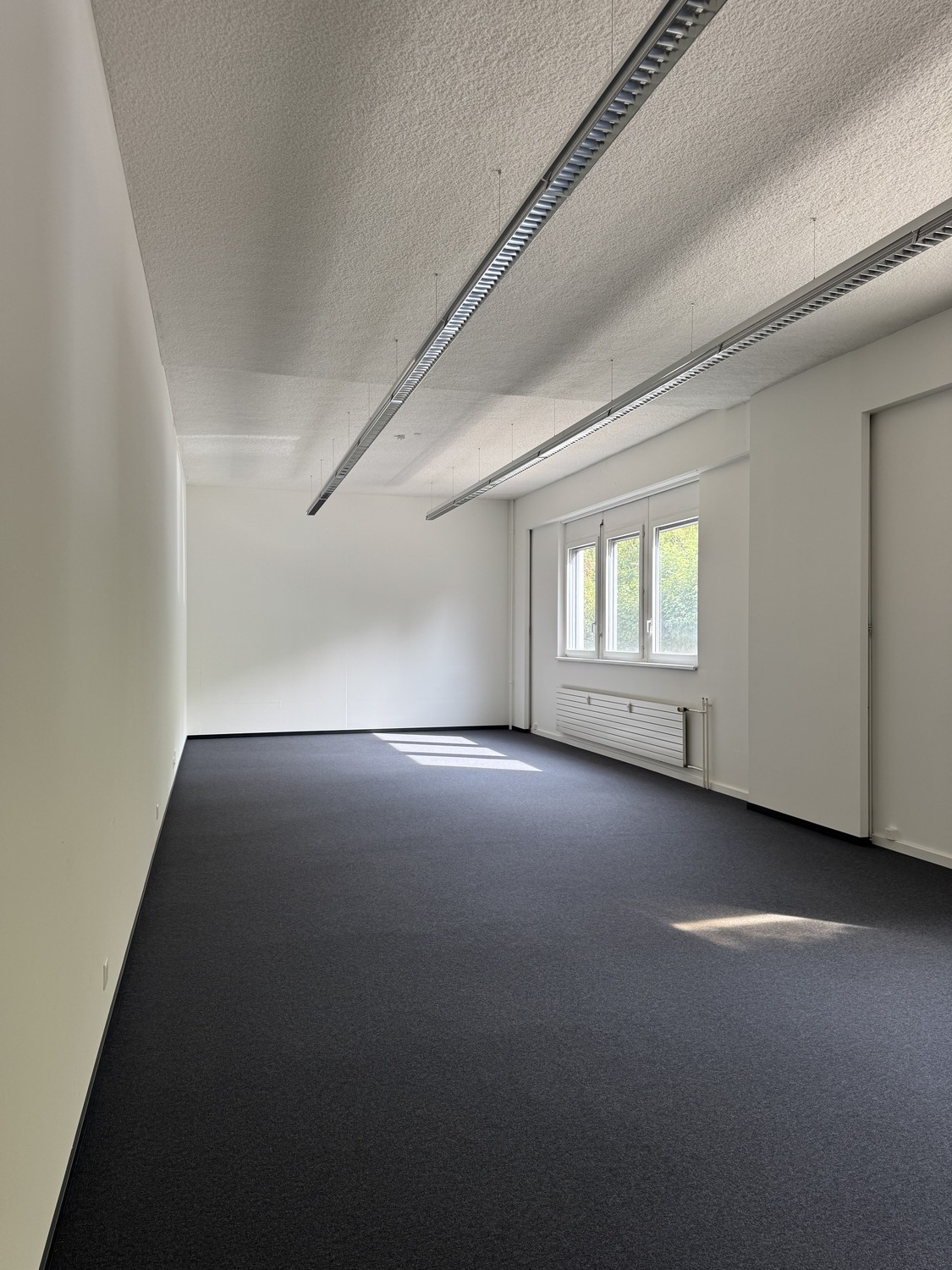 703m² office, Foto 2 von 10