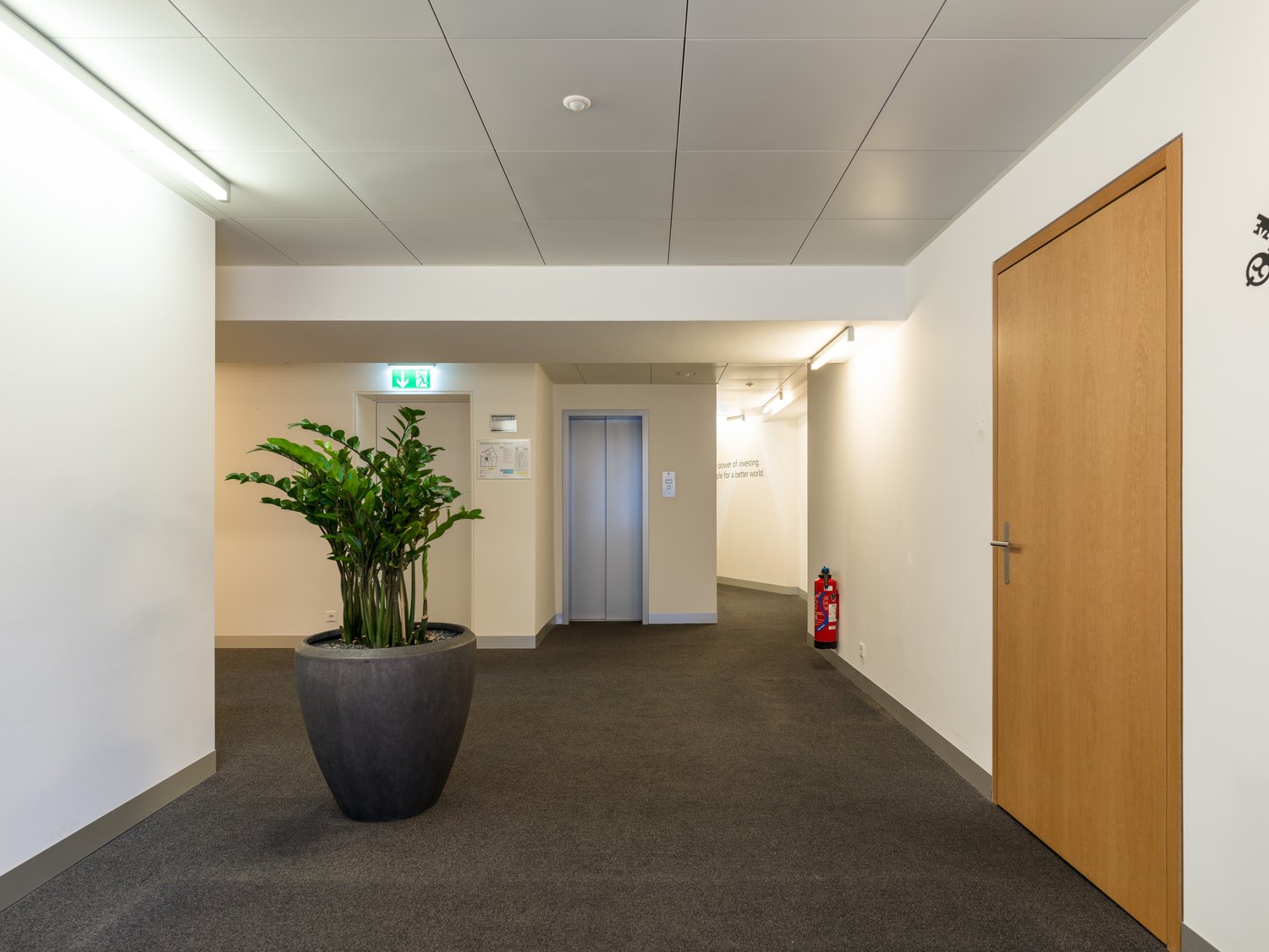 230m² office, Foto 7 von 10