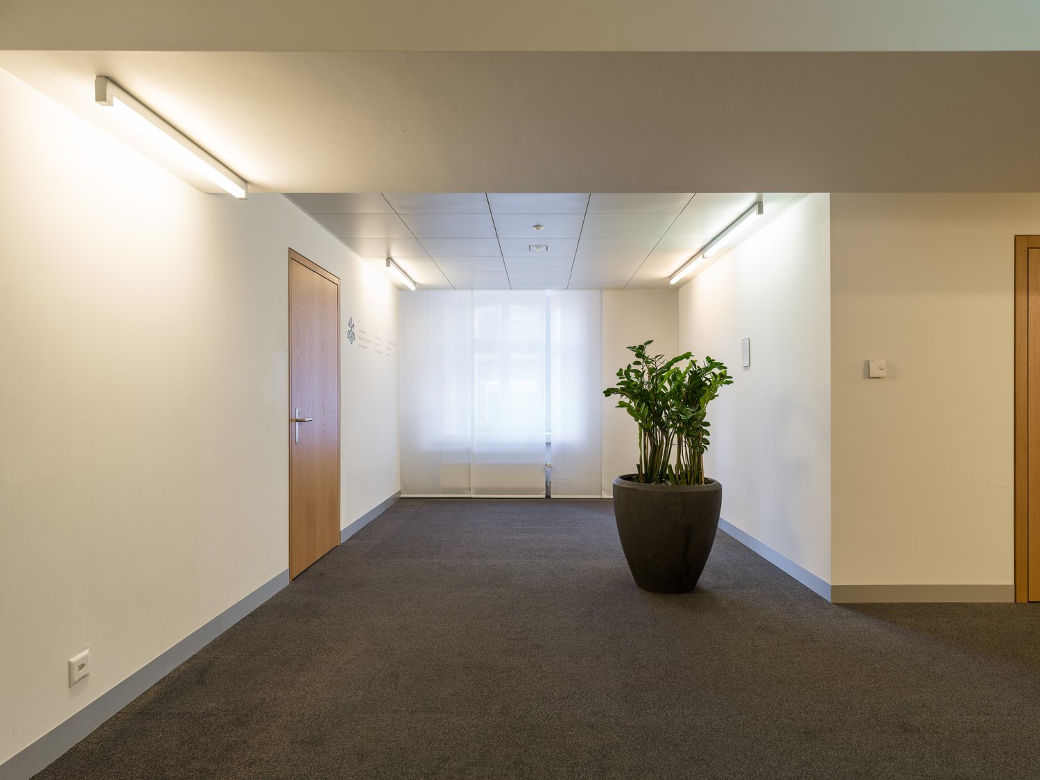 230m² office, Foto 9 von 10