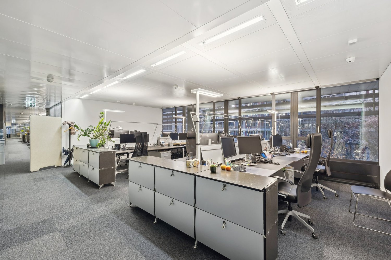 1250m² office