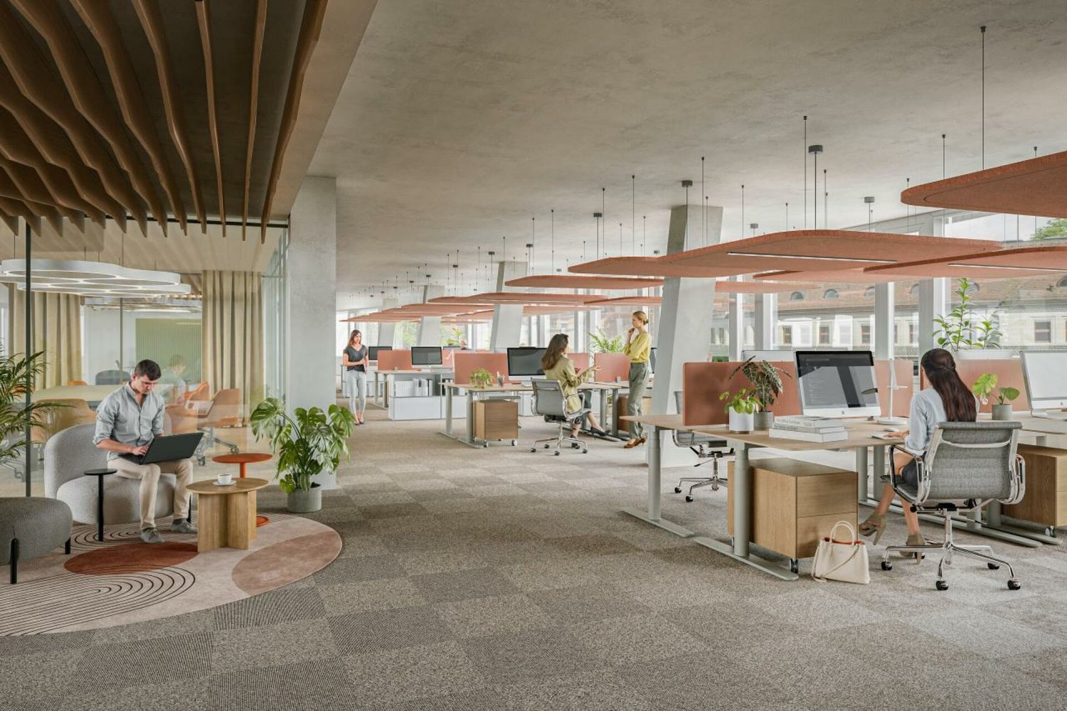 244m² office