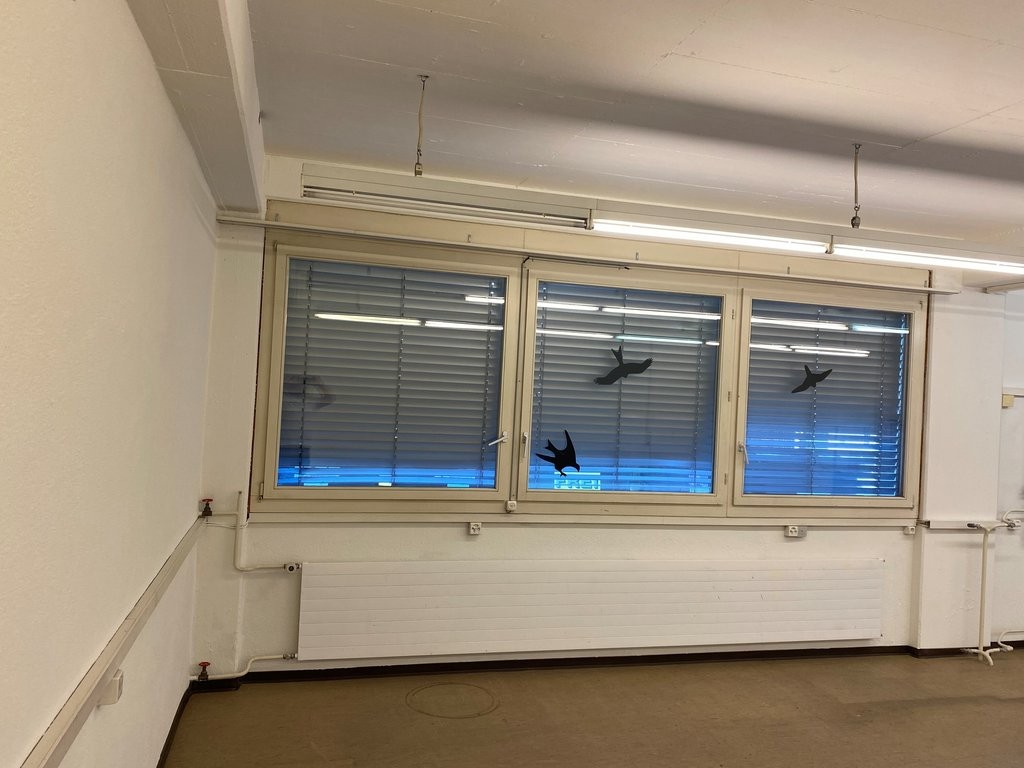 59m² commercial
